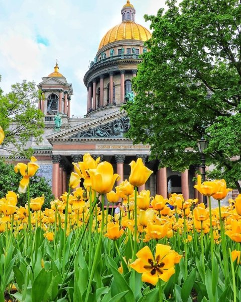 Санкт-Петербург летом