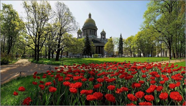 Санкт-Петербург лето канал Грибоедова