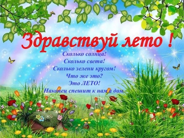 Лето в ДОУ