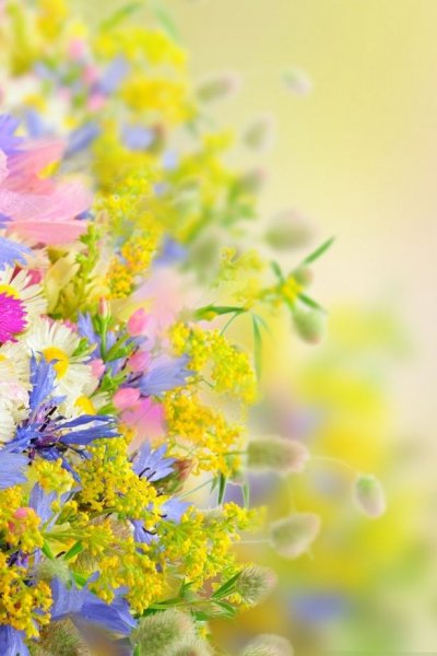 Цветочный фон