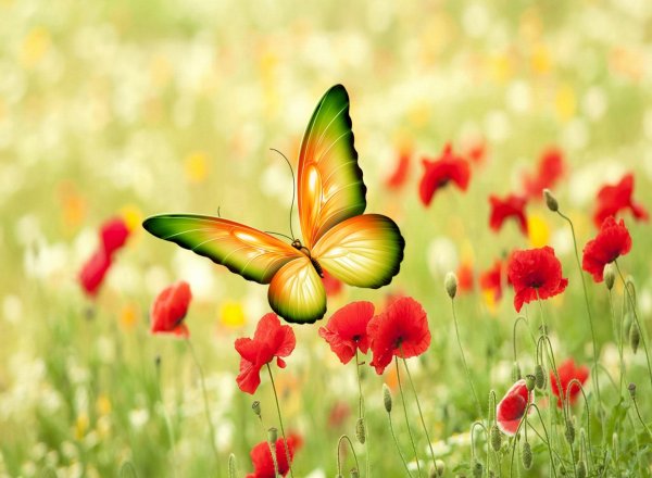 Под пальмой на пляже