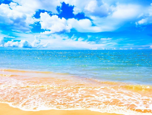 Ромашки и небо