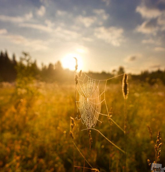 Уходит лето природа