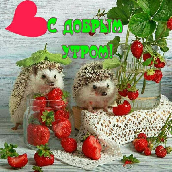 Весна животные