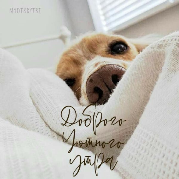 Настроение весны