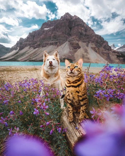 С добрым утром Ежик