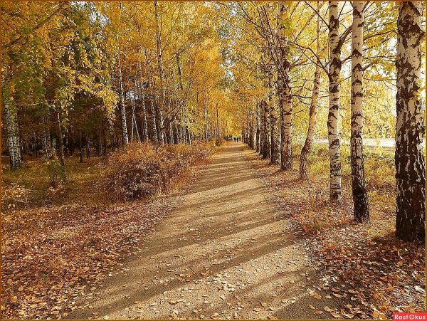 Осень бабье лето