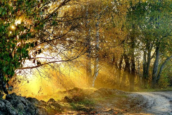 Бабье лето природа