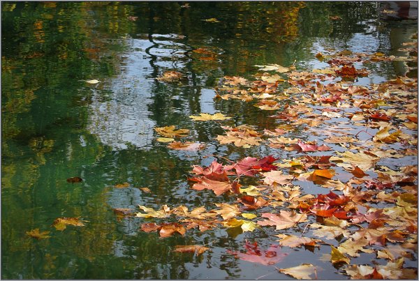 Осень бабье лето