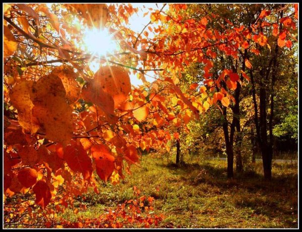 Бабье лето в октябре