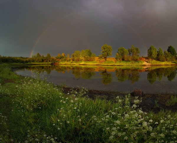 Природа после дождя
