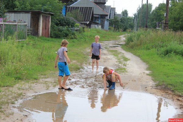 Дождик в деревне
