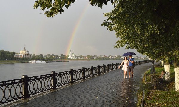 Летний дождь в городе