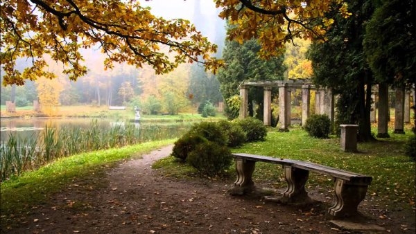 Ранняя осень парк