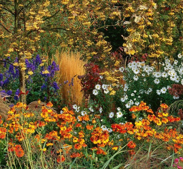 Царское село аллеи