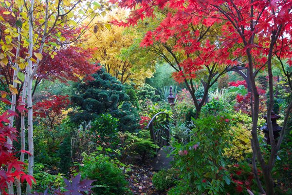 Парк Бельвиль кустарники
