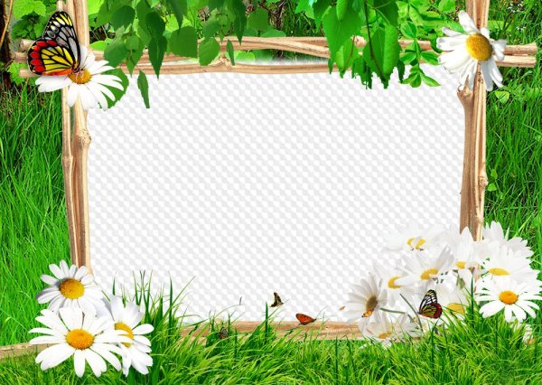 Фон для плаката в детский сад