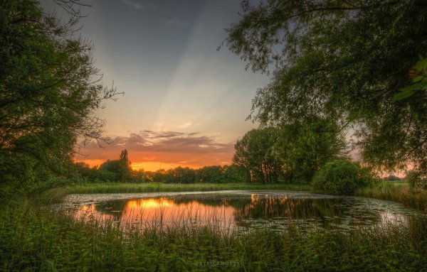 Природа летом рассвет