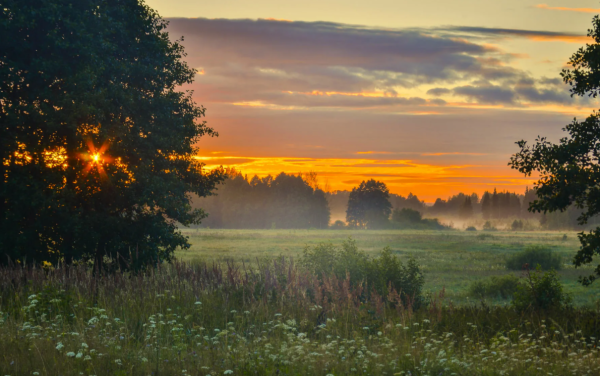 Утренний пейзаж деревня Герасимов