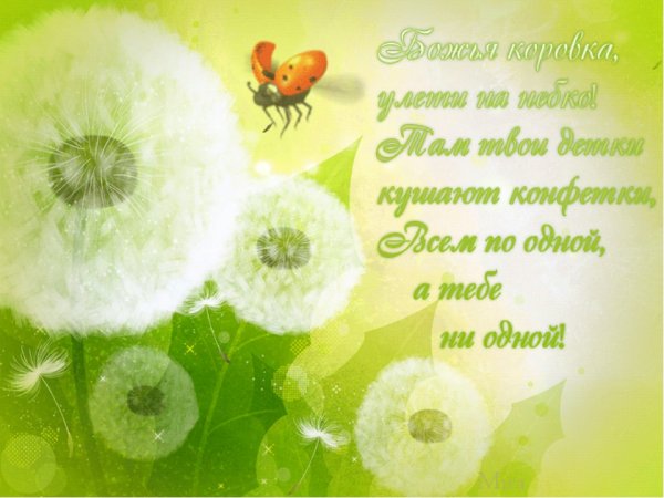 Летние картинки с пожеланиями