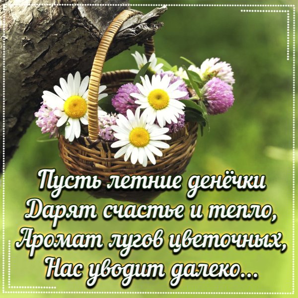 Позитивного летнего дня и хорошего настроения