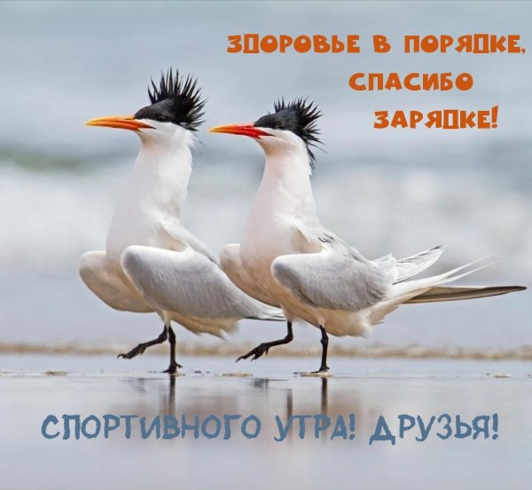 Радости и счастья в новом дне