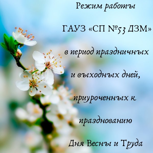 Пожелания доброго утра с ромашками