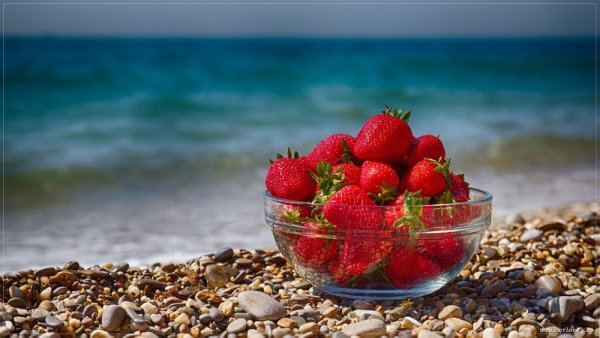 Тропический коктейль