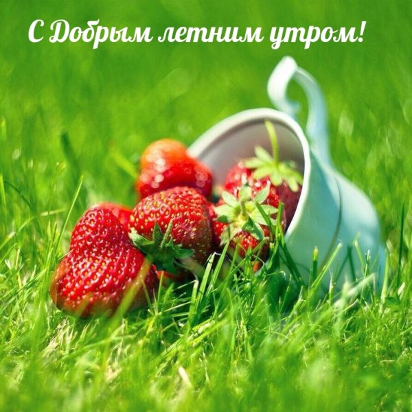 Доброе утро клубника