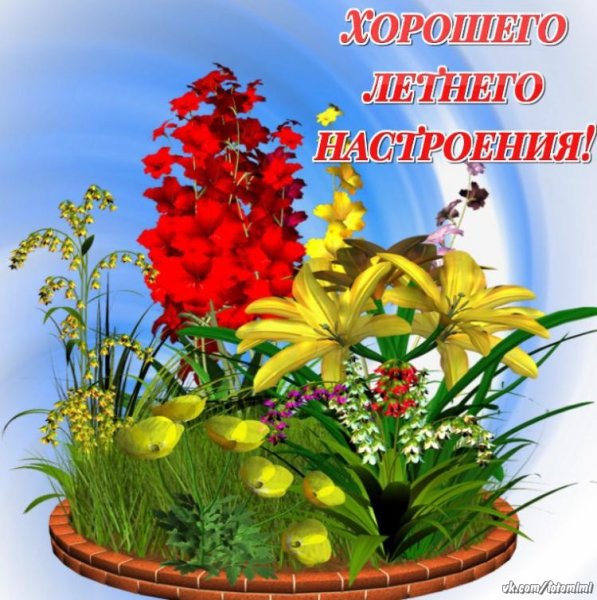 Открытки летнего настроения