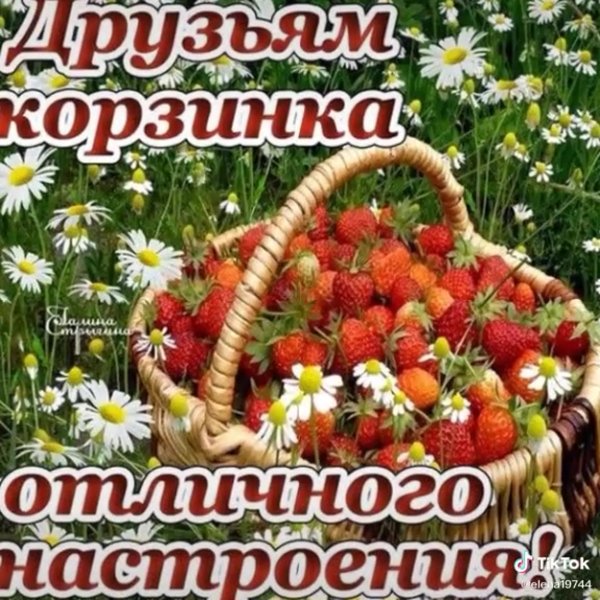 Открытка прекрасного летнего дня