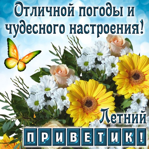 Ромашки утро