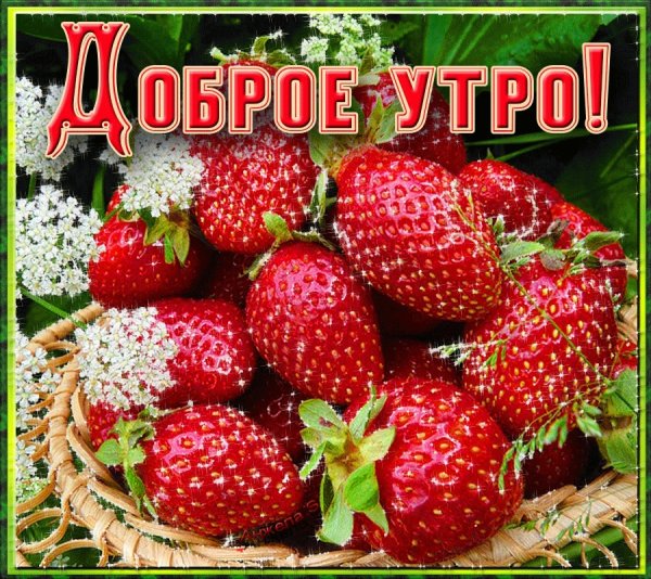 Букет на природе