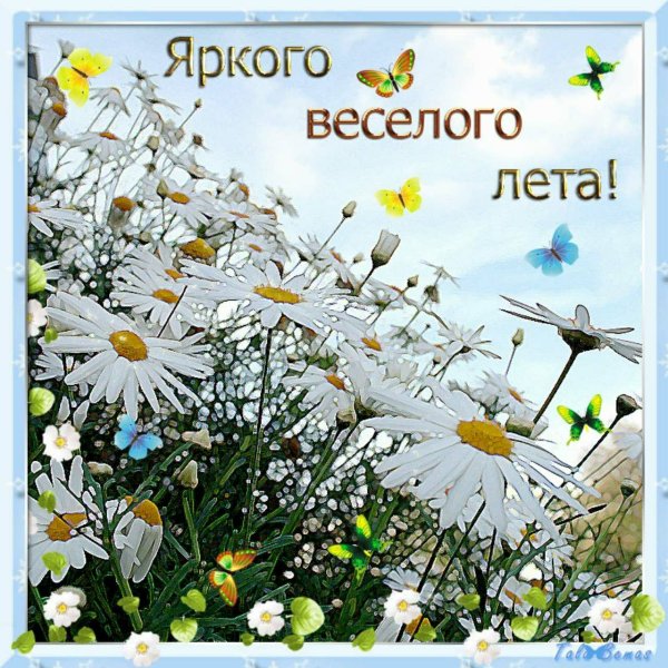 Доброго летнего дня и хорошего настроения