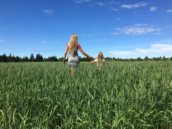 Пшеничное поле человек