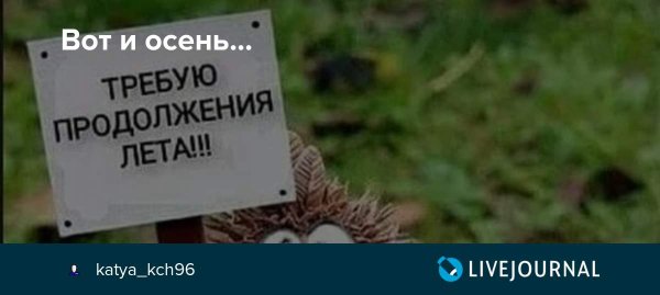 Требую продолжения лета картинки