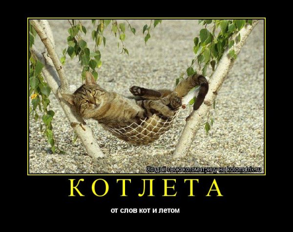 Летний юмор