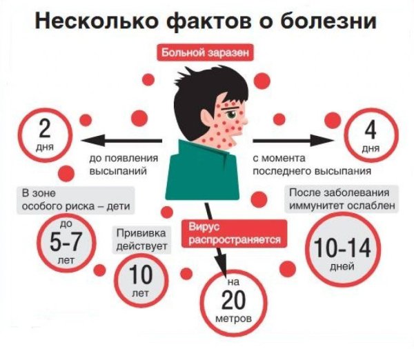 Правила здорового образа жизни