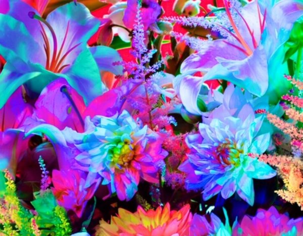 Переливающиеся цветы