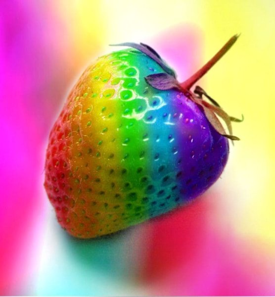 Яркие цветы