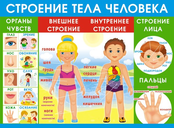 Признаки лета для детей