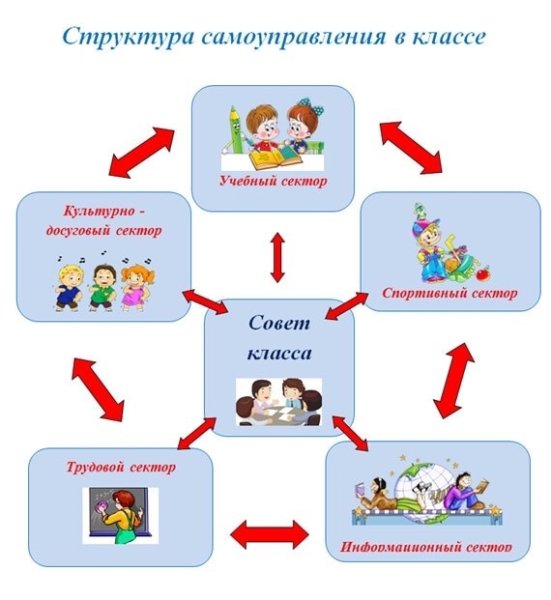Строение детского тела