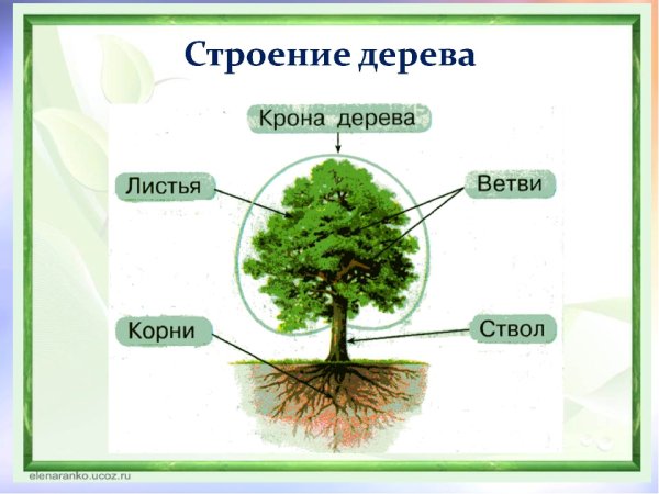 Признаки лета в картинках для детей