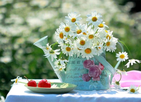 Доброе утро ромашки