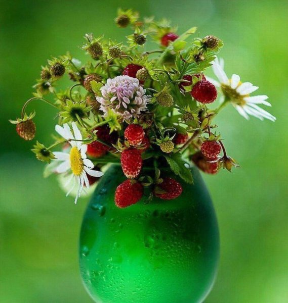 Позитивное настроение высказывания