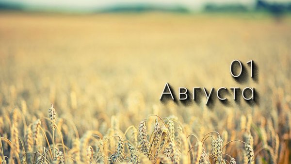 Лето август