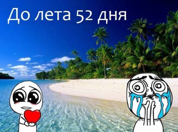 Сколько дней осталось до лета