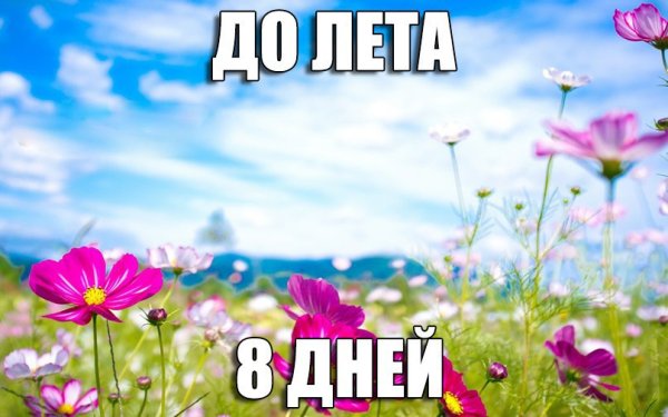 До лето