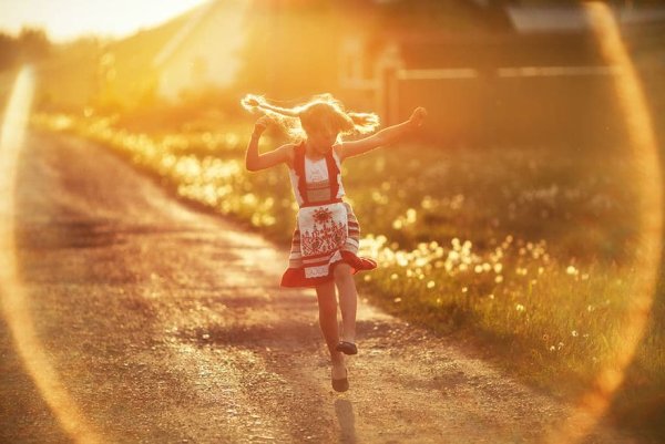 Лето счастье цветы