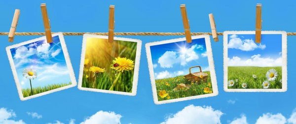 Дети и природа